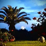 Appartamento Karpetis A Paradise Psakoudia