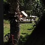 Karpetis A Paradise * Psakoudia