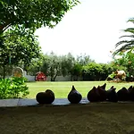 Karpetis A Paradise Psakoudia