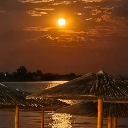 Karpetis A Paradise * Psakoudia