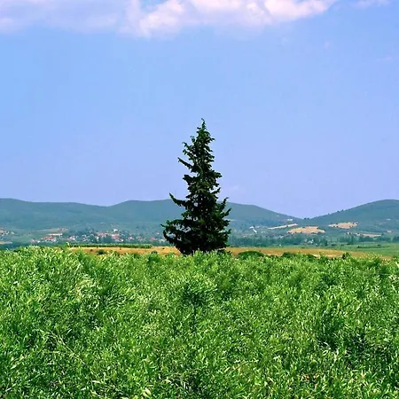 Karpetis A Paradise Апартаменты Псакудия