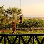 Karpetis A Paradise Psakoudia