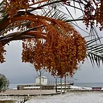 Karpetis A Paradise *