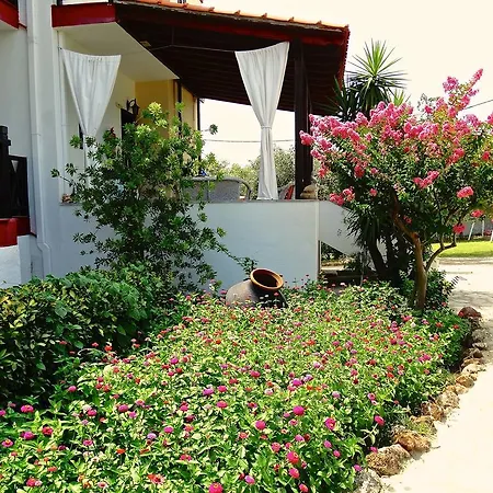 Karpetis A Paradise Apartment Psakoudia