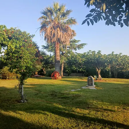 Karpetis A Paradise *