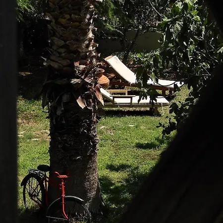 Karpetis A Paradise * بساكوذيا