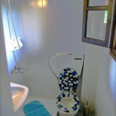 Apartment Karpetis A Paradise Psakoudia