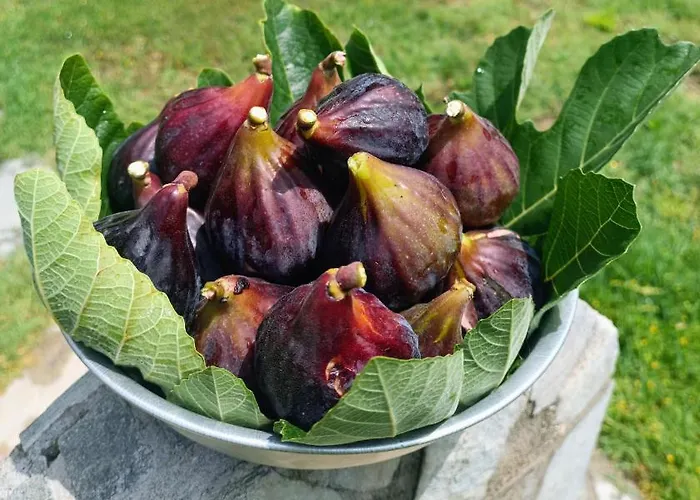 Karpetis A Paradise Appartamento Psakoudia