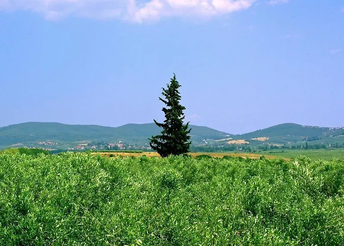 Karpetis A Paradise Appartamento Psakoudia