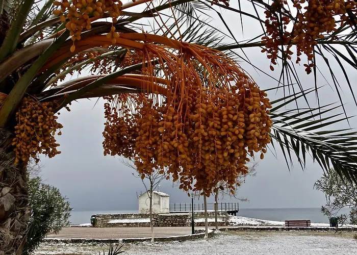 Karpetis A Paradise *