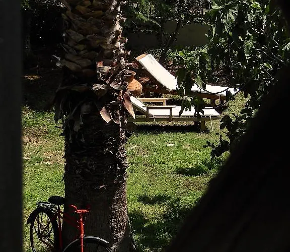 Karpetis A Paradise * Psakoudia