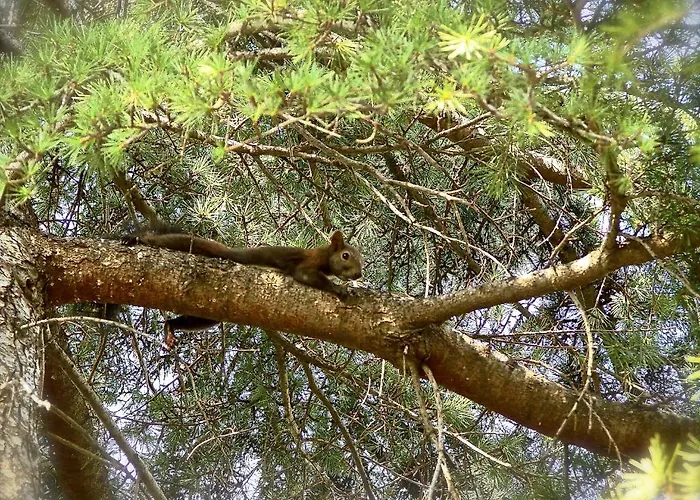 Karpetis A Paradise *