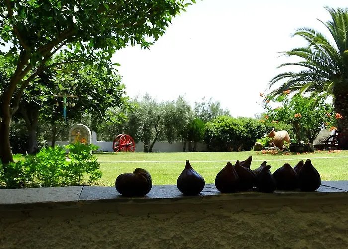 Karpetis A Paradise Psakoudia