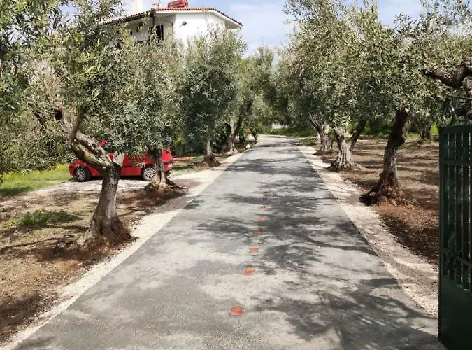 Karpetis A Paradise Psakoudia