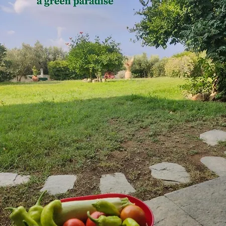 Karpetis A Paradise Daire *