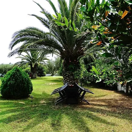 Karpetis A Paradise Psakoudia