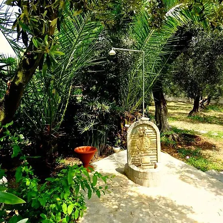 Karpetis A Paradise *