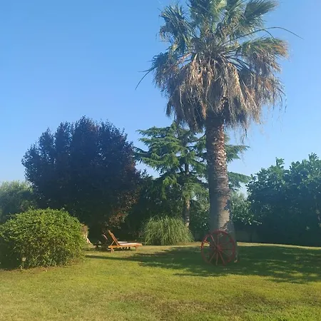 Daire Karpetis A Paradise *