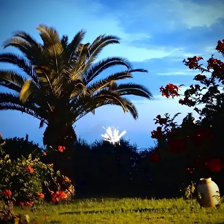 Daire Karpetis A Paradise Psakoudia