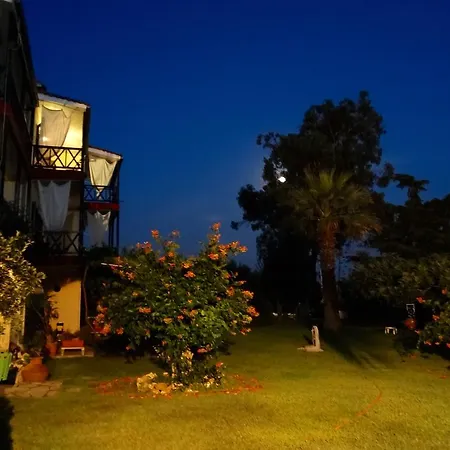 Karpetis A Paradise * Psakoudia