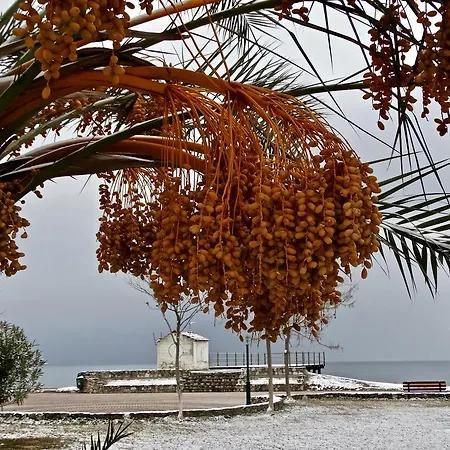 Karpetis A Paradise *