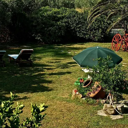 Daire Karpetis A Paradise *