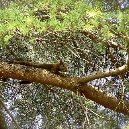 Karpetis A Paradise *